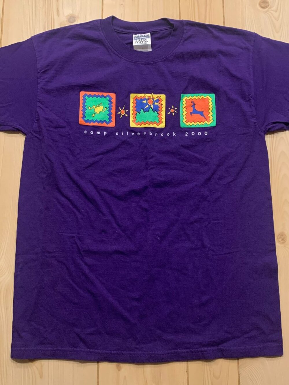 Vintage Y2K Girl Scouts Troop Camp Silver Brook Wisconsin 2000 T-Shirt Size L